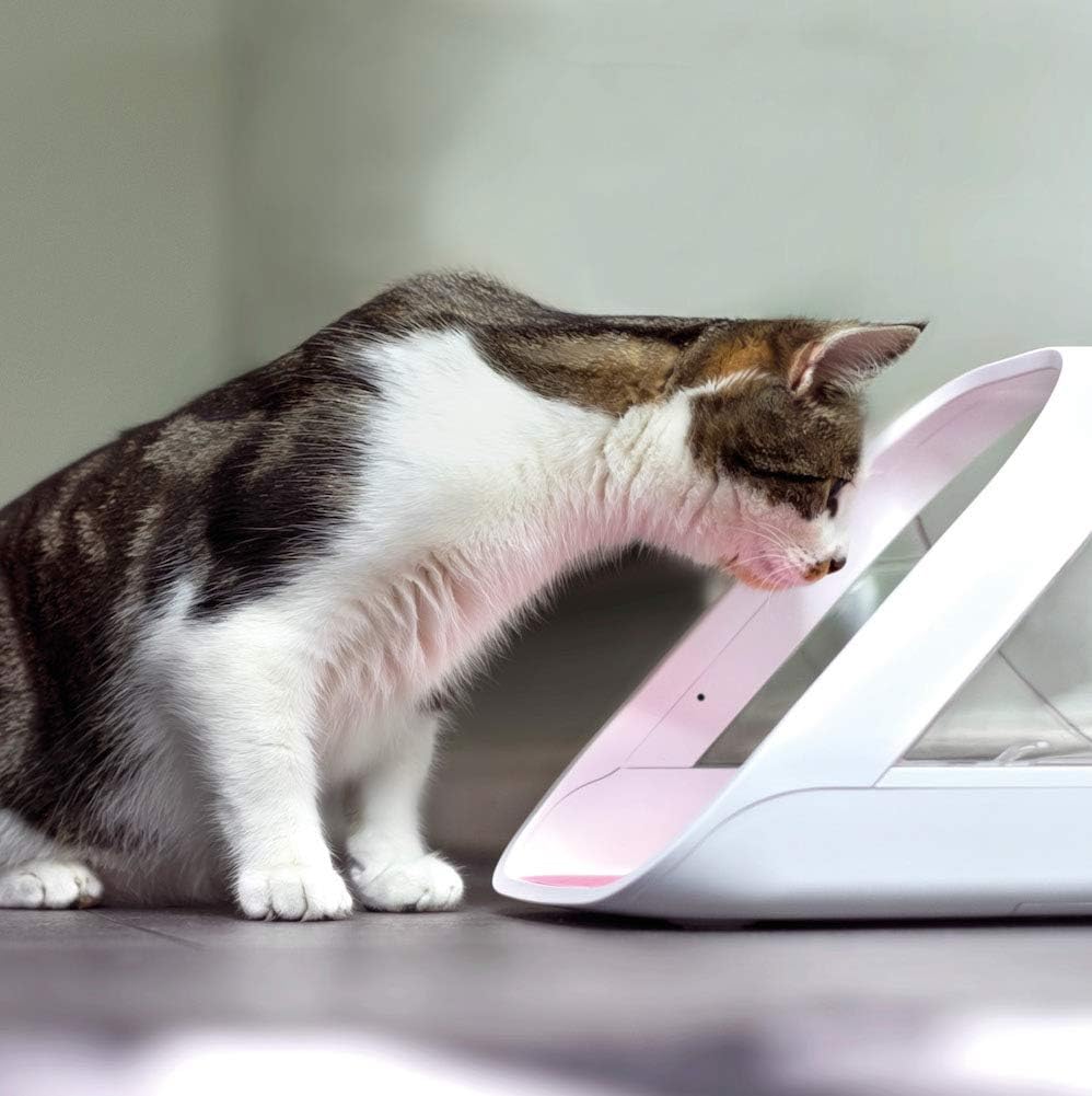 Detail of the SureFeed pet feeder split bowl and sealing lid