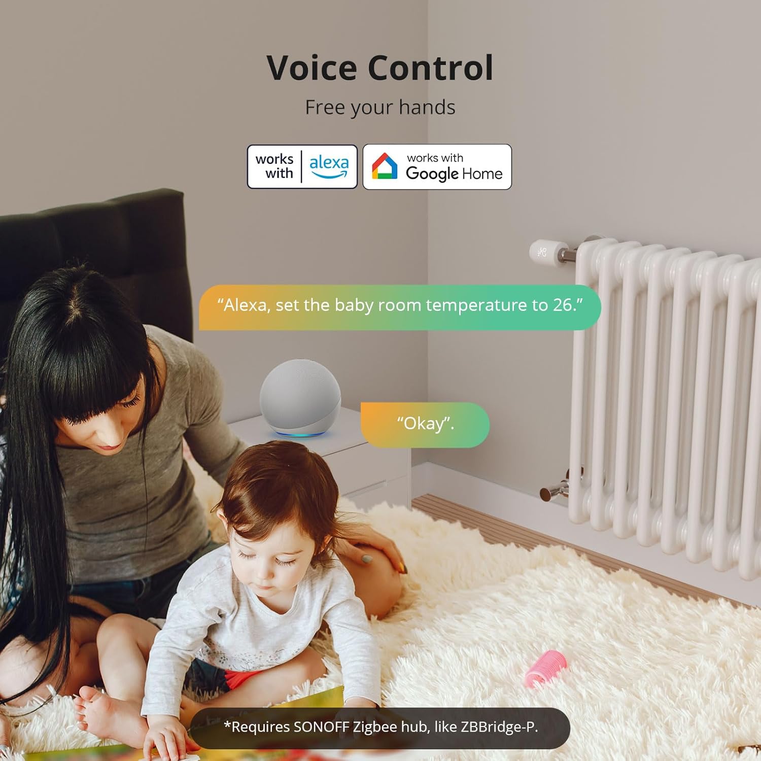 SONOFF voice control graphic with Works with Alexa and Works with Google Home badges and a footnote that a SONOFF Zigbee hub is required